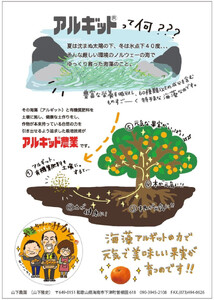 家庭用 国産 バレンシアオレンジ 約5kg M～LLサイズ 山下農園