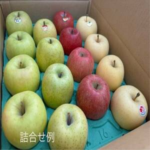 園主おススメ!　旬のりんご詰め合わせ　【家庭用】　約5キロ　おまかせ4種食べ比べ_果物・フルーツ りんご  リンゴ 林檎_【1568467】