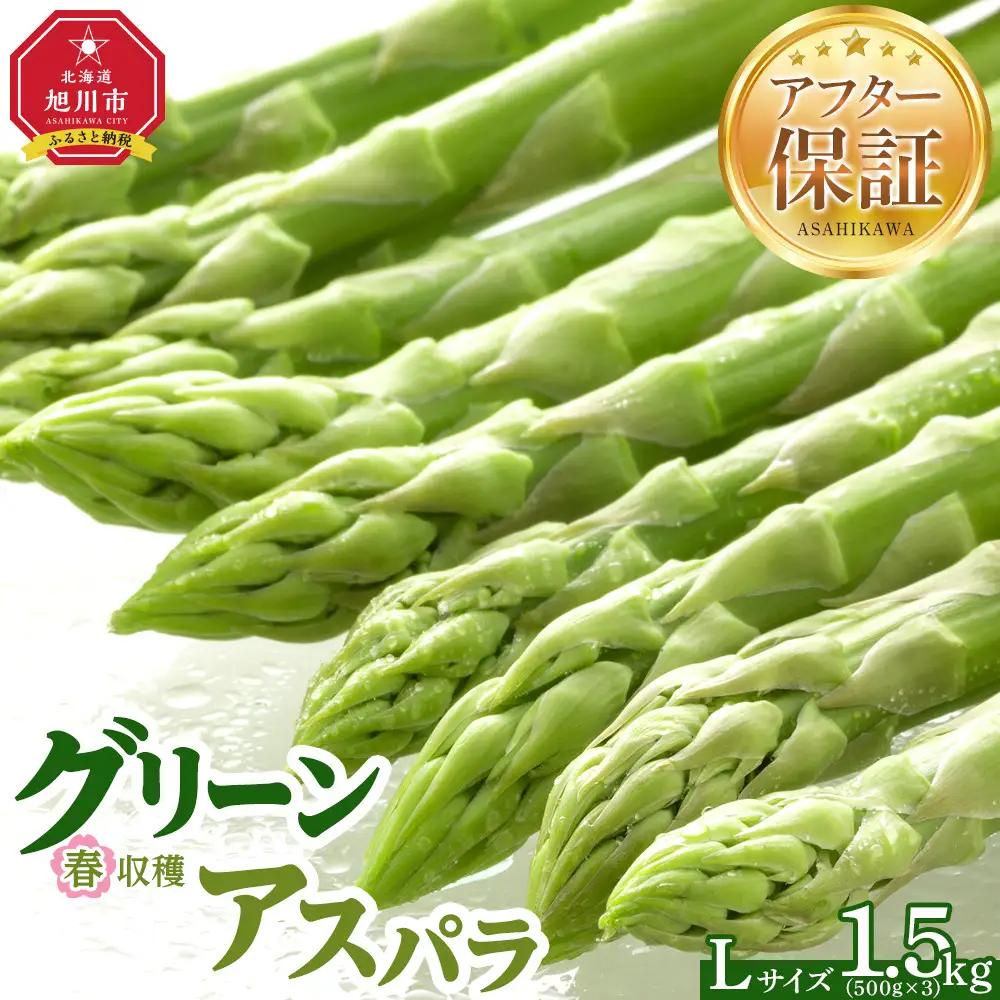 春収穫グリーンアスパラLサイズ（500g×3）約1.5kg（2027年6月上旬から発送開始）| アスパラ 北海道_05530