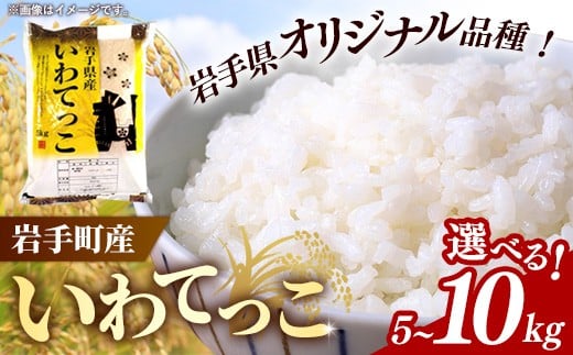 
                  【選べる数量】令和7年産岩手町産いわてっこ精米 5kg 10kg 米 白米 ごはん 新鮮 粘り 甘み おすすめ 銘柄 送料無料 農家直送 こめ 岩手 岩手町 岩手県 Mふぁ～む
                