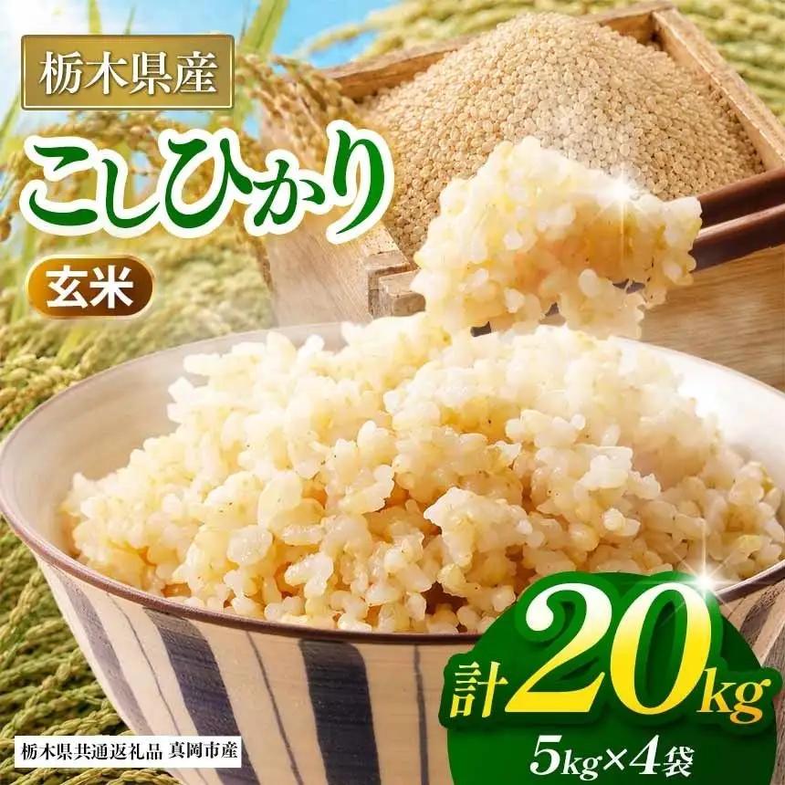 【栃木県共通返礼品】【令和８年度産】コシヒカリ 20kg お米 米 | 栃木県 那珂川町 送料無料