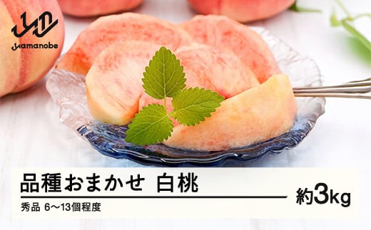 
            《先行予約》もも 桃 品種おまかせ 白桃 秀品 約3kg (6～13個程度) 配送時期選べる 山形県産 nf-mohtx3
          