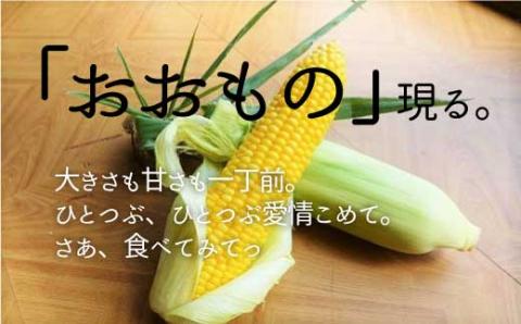 北海道栗山町産 スイートコーンその名は「おおもの」20本