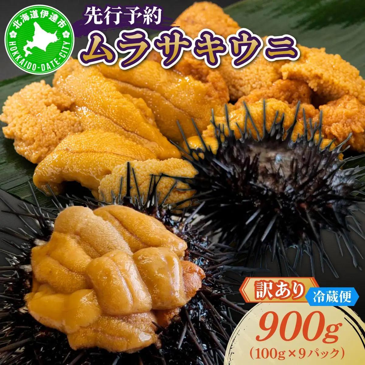 ＜先行予約＞ 北海道産 ムラサキウニ（訳あり）900g【ogm-047】