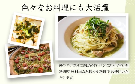 大葉ソース ジェノベーゼ風 90g×2個セット 田中醤油 植木農園 大葉使用 調味料 大分県産 九州産 中津市 熨斗対応可