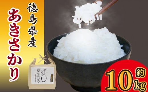 【先行予約】 お米 あきさかり 10kg 令和7年産 米 こめ ご飯 ごはん おにぎり 白米 食品 備蓄 備蓄米 保存 防災 ギフト 贈答 プレゼント お取り寄せ グルメ 送料無料 徳島県 阿波市