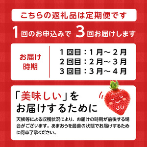 【2027年1月以降お届け】あまおう 約250g 4パック×3回 計12パック【定期便 3回】_ いちご 果物 フルーツ〔Fi301〕
