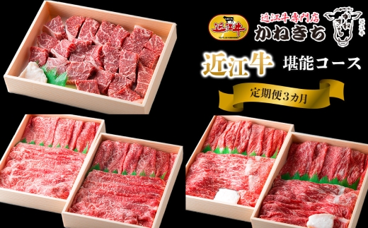 【 1カ月毎3回定期便 】 【 髙島屋選定品 】 近江牛専門店かねきち 近江牛堪能3カ月コース K35 モモ サイコロステーキ しゃぶしゃぶ  バラ すき焼き用 近江牛 食べ比べ 定期便