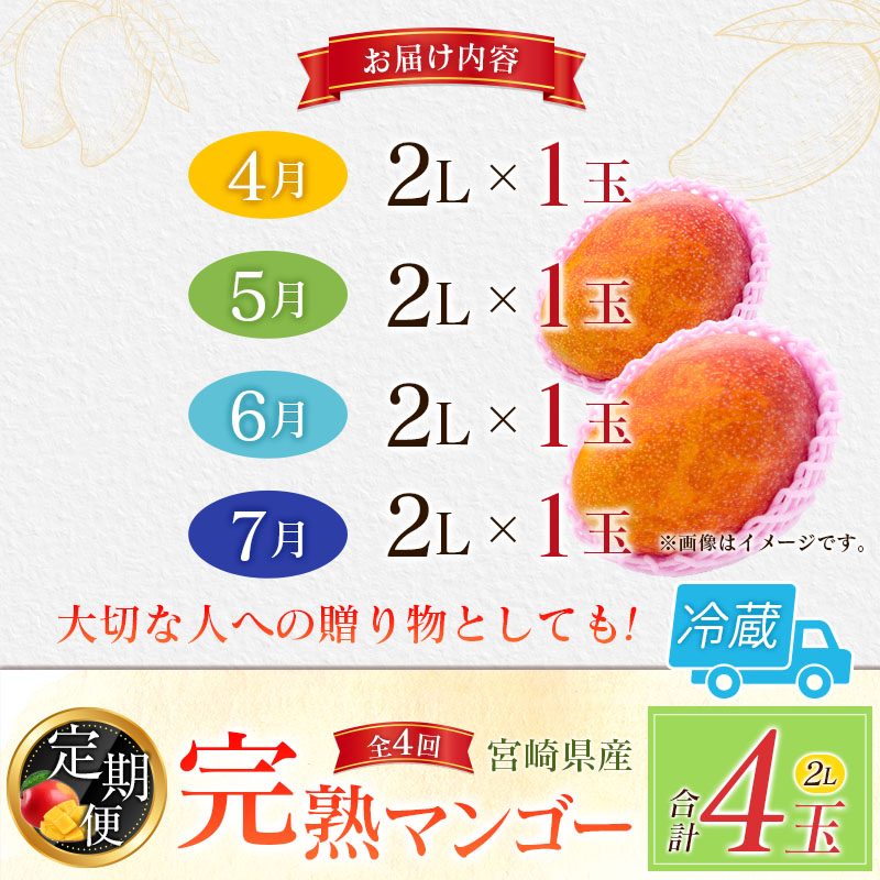 [定期便全4回] 宮崎完熟マンゴー 2Lサイズ 合計4玉 特産 国産 果物 フルーツ 旬 産地直送【E223-27】_イメージ4