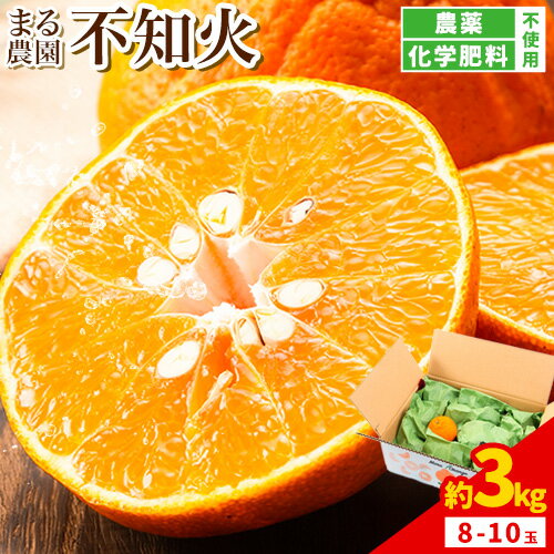 【ふるさと納税】先行予約 不知火 約3kg まる農園《2026年4月上旬～4月末頃出荷予定》熊本県 津奈木町 青果物 デコポン みかん しらぬい 果物 フルーツ 農薬不使用 化学肥料不使用