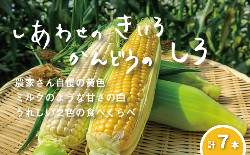 【先行予約】大地の恵み「とうもろこし2色セット」北海道産　7本