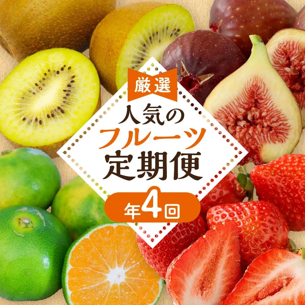 【定期便/年４回】フルーツ 旬の福岡フルーツ定期便_HB0087
