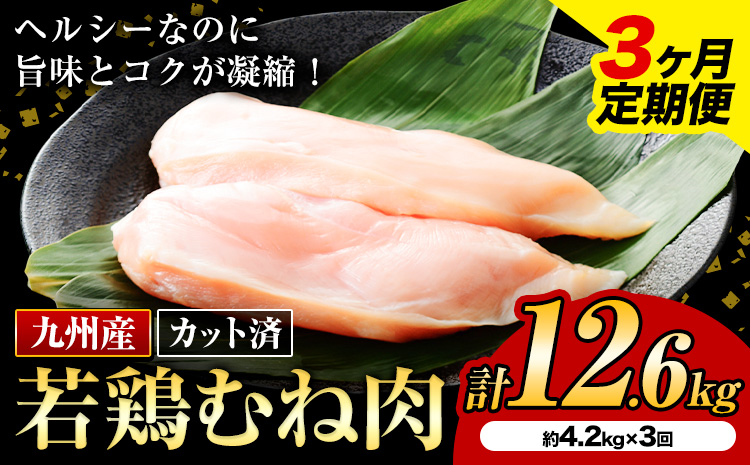 【3ヶ月定期便】九州産若鶏ムネ肉 カット済 600g×7袋×3回 計12.6kg 鶏肉 お肉 ムネ肉 むね肉 小分け 冷凍 九州産 国産 熊本県 菊池市 送料無料《お申込み翌月から出荷》
