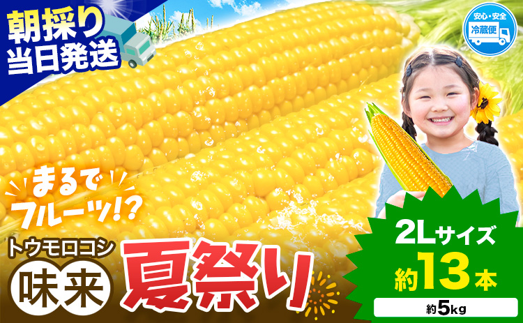 新登場★ トウモロコシ 味来 【収穫後当日出荷！】 夏祭り 約5kg 13本前後《6月中旬-7月中旬頃出荷予定》 茨城県 結城市 野菜 甘味が強い 柔らかい ジューシー フルーティー 夏野菜 コーン【