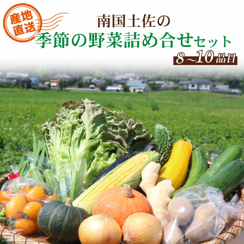 【ふるさと納税】 南国 土佐 季節 野菜 詰め合わせ セット 旬 やさい 野菜 農家直送 お楽しみ かぼちゃ カボチャ キャベツ きゃべつ トマト 玉ねぎ きゅうり 旬野菜 夏野菜 春野菜 人気 高知県 南国市