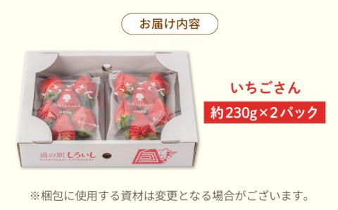 【R8年1月以降発送】【産地直送】白石産いちご「いちごさん」 約230g×2パック（計460g以上）【道の駅しろいしカンパニー】イチゴ [IAA037]