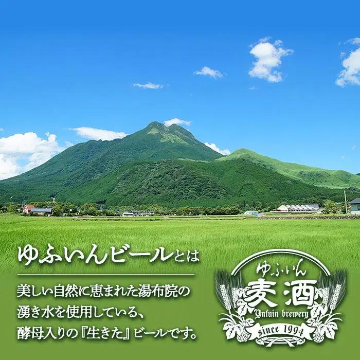 ゆふいんビール３種飲み比べセット＜3種各1本　中瓶(500ml)＞ | 飲み比べ