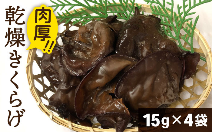
国産 肉厚 乾燥 きくらげ ( 15g × 4セット )《糸島》【きのこファーム】[AFC003]
