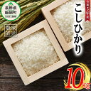 【ふるさと納税】 米 こしひかり 10kg ( 令和5年産 ) 沖縄県への配送不可 米澤商店 長野県 飯綱町 【 コシヒカリ 白米 精米 お米 信州 】発送時期：2023年11月上旬～ [お届け1回 (***)]