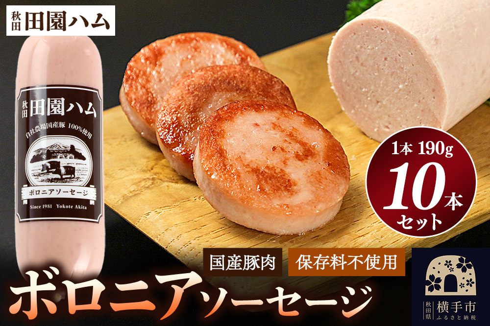田園ハム ボロニアソーセージ 190g×10本セット