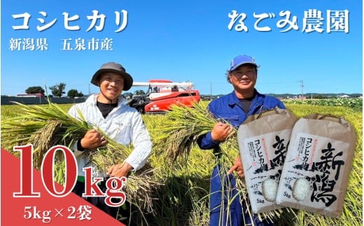 【令和7年産米】 なごみ農園のコシヒカリ 10kg (5kg×2袋) 緑白綬有功章受章 新潟 | 白米 精米 こしひかり お米 おこめ コメ こめ 新潟県 五泉市 なごみ農園