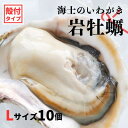 【ふるさと納税】【のし付き いわがき 殻付きLサイズ 10個】海士のいわがき 岩牡蠣 生食可 冷凍 牡蛎 牡蠣 かき カキ 岩牡蠣 いわがき 冷凍 父の日 母の日 バーベキュー ギフト