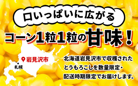 【令和7年度出荷先行予約！】北海道岩見沢市産とうもろこし2Lサイズ24本【11112】