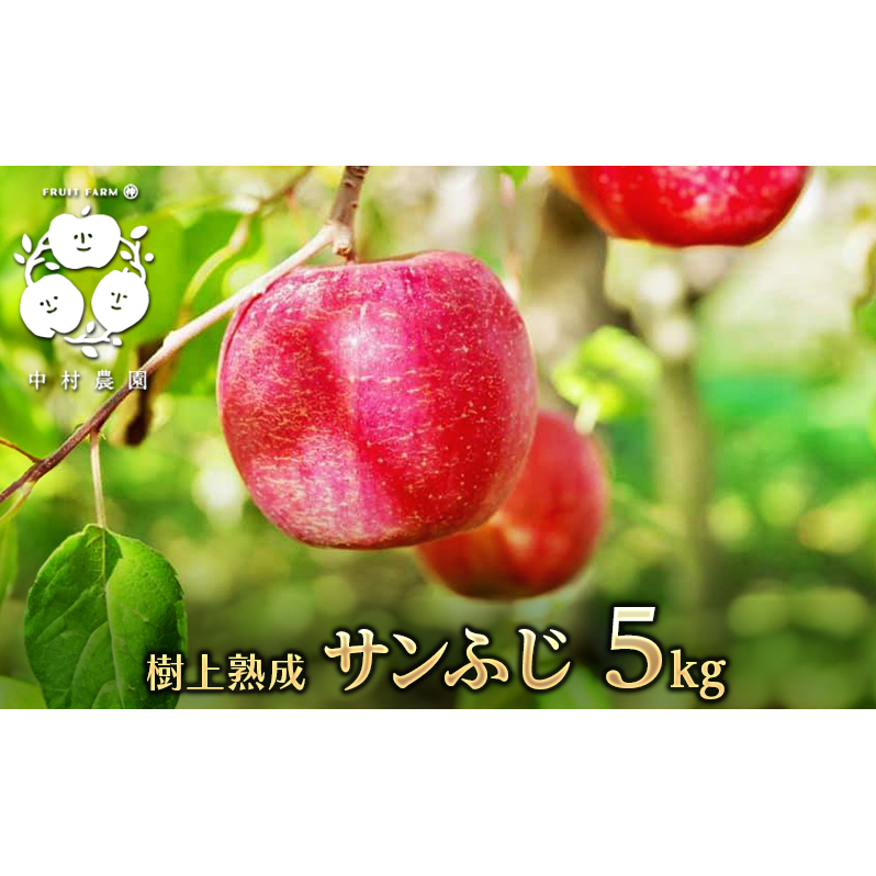 【2025年産】樹上熟成　サンふじ 5kg 