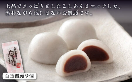 ＜地元でも大人気！＞冷凍白玉饅頭詰合せ Aセット 佐賀県/白玉饅頭元祖吉野屋[41AACQ001]