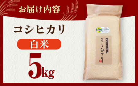 令和7年度産 ななしま家 コシヒカリ 5kg / 白米 白米 白米 白米 白米 白米 白米 / 佐賀県 / 有限会社七島農産 [41AHAC001]