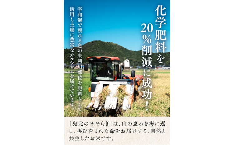 【R7年産】【自然環境米】鬼北のせせらぎ（コシヒカリ）5kg×2 ｜ お米 お米不足 お米品薄 おいしい お米 事業者支援 送料無料 白米 精米 国産 限定 ごはん ご飯 白飯 ゴハン 愛媛県産 鬼北