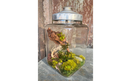 No.356 レトロなお菓子瓶を使った森の風景アート