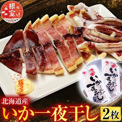 ふるさと納税 根室市 根室海鮮市場<直送>【北海道産】いか一夜干し2枚 G-28079