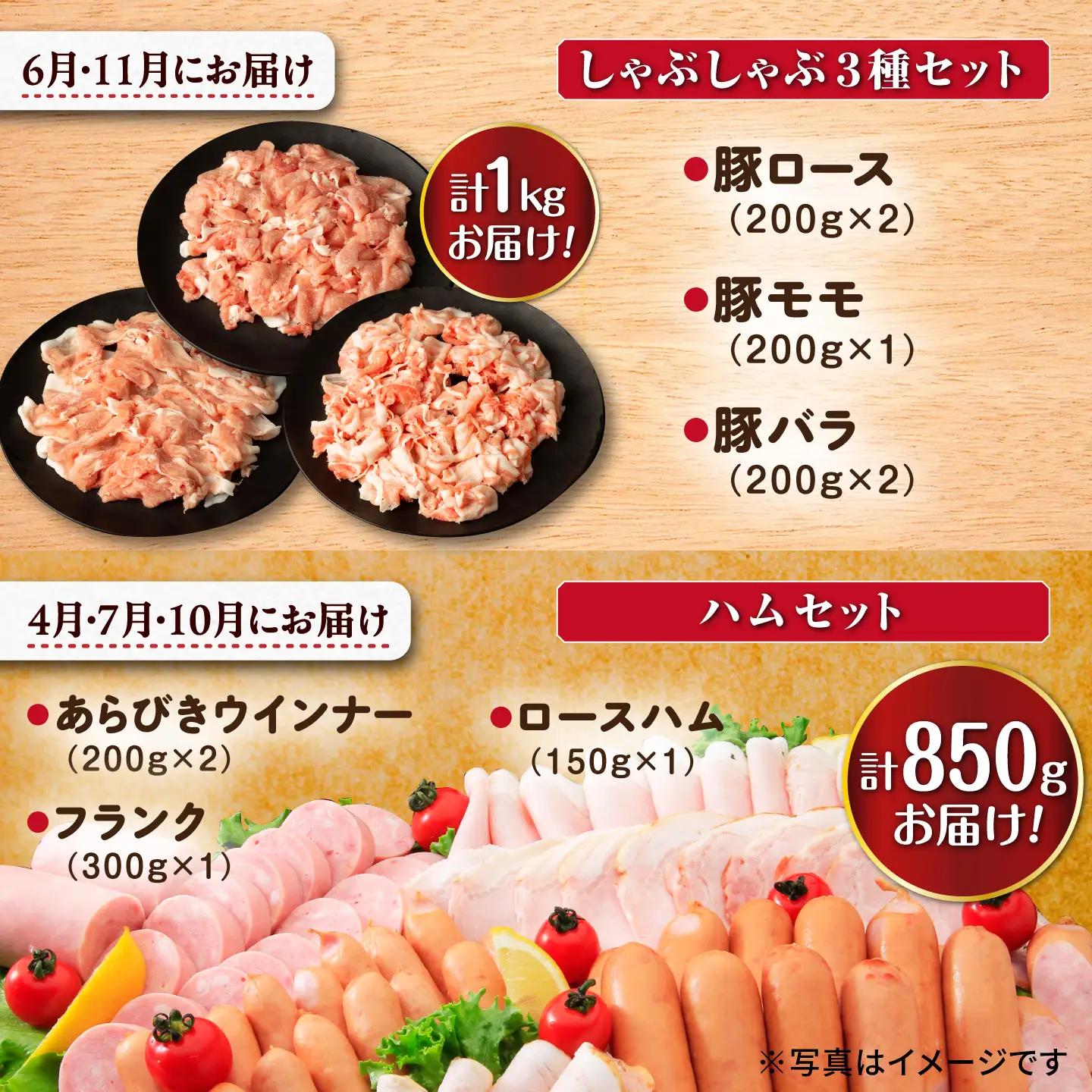 豚肉定期便 長崎県産豚肉 10回 9.55kg [ACAA088]