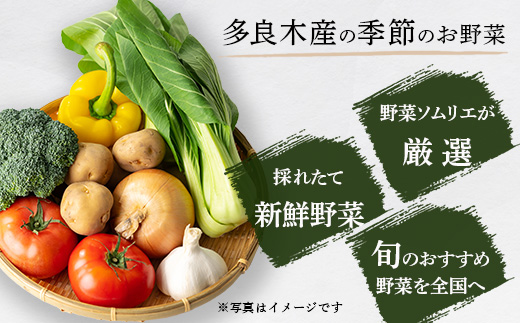 野菜ソムリエ 監修 旬のおすすめ 野菜 セット 4〜6種類 (1〜2名様向け) 野菜 獲れたて 新鮮 直送 旬 熊本県 多良木町 024-0801