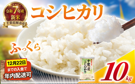 【令和7年産】 精米 こしひかり 10kg 白米 10kg(5kg×2袋)