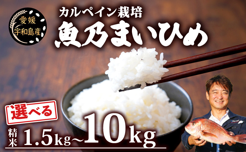 
            コシヒカリ 魚乃まいひめ カルペイン栽培 選べる 容量 計1.5kg ( 2合 × 5袋 ) ～ 計 10kg ( 5kg × 2袋 ) 精米 秀長水産 お米 米 環境保全 カルペイン 鯛 真鯛 魚肥 使用 こめ コメ kome 小分け お弁当 弁当 おにぎり ふっくら ツヤツヤ 美味しい 甘い 備蓄 防災 産地直送 数量限定 国産 愛媛 宇和島 G015-016006~008
          