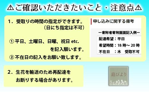 ご寄附前にご確認ください。