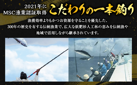 ＼近海かつお一本釣り漁獲量日本一!!／ 大判 かつお 柵 計800g 食品 国産 真空パック おすすめ 鰹 カツオ 刺身 刺し身 サク おかず おつまみ ギフト 魚介類 新鮮 海産物 水産 海の幸 数