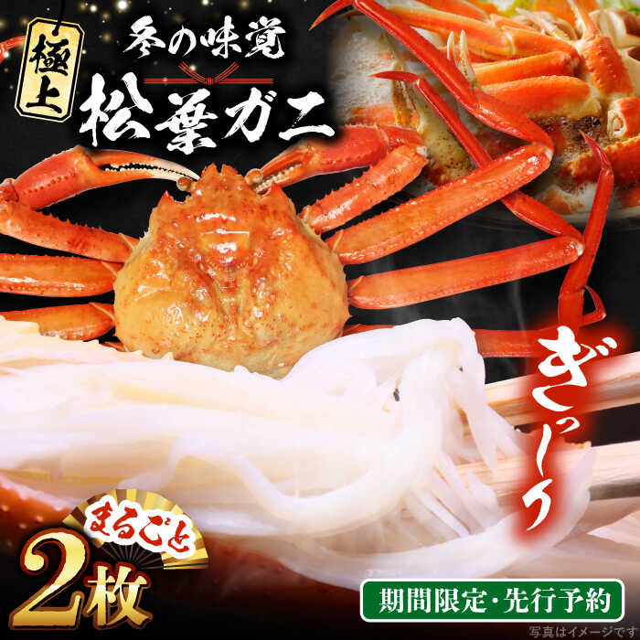 【ふるさと納税】【期間限定・先行予約】冬の味覚の代表格！松葉ガニ 2枚 島根県松江市/フジキコーポレーション株式会社[ALDS018]｜ 松葉ガニ 松葉蟹 かに カニ 蟹 ズワイガニ 鍋 蟹 冬 グルメ 海鮮 お取り寄せ 誕生日 ご褒美 国産 冬の味覚 人気 おすすめ 島根