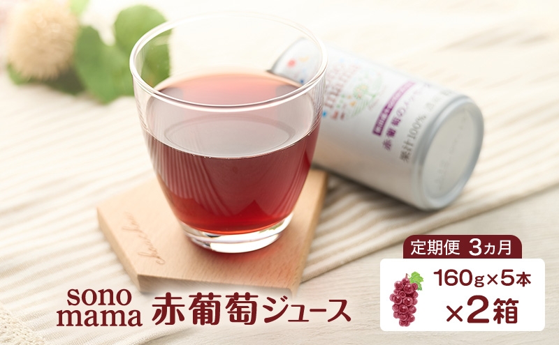 
                  《 定期便 3ヵ月 》 赤葡萄ジュース「sonomama」（160g×5本）×2箱 ぶどう ブドウ ジュース ぶどうジュース 飲料
                