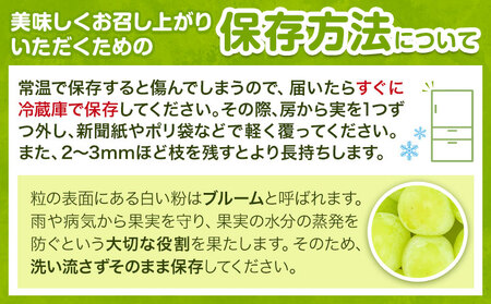 訳ありシャインマスカット約2kg【配送不可地域あり】北海道・沖縄・離島