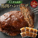 【ふるさと納税】タテガミ入り馬肉ハンバーグ 8個セット 200g×8個 合計1.6kg（デミソース含む） デミグラスソース ハンバーグ 馬肉 惣菜 おかず 真空パック グルメ お取り寄せ 冷凍 送料無料