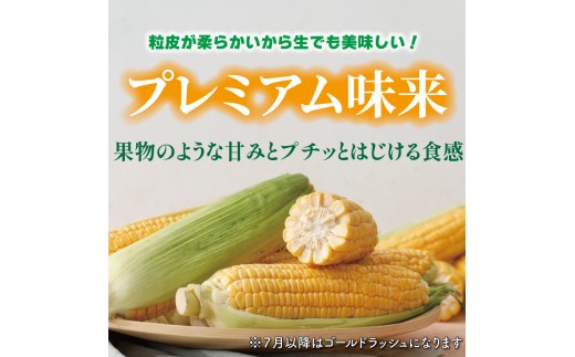 予約 スイートコーン 5kg プレミアム味来 ゴールドラッシュ コーン とうもろこし 野菜 やさい 夏野菜 旬 旬の野菜 季節の野菜 産地直送 冷蔵 甘い 料理 おかず 炒め フライ ポタージュ コー