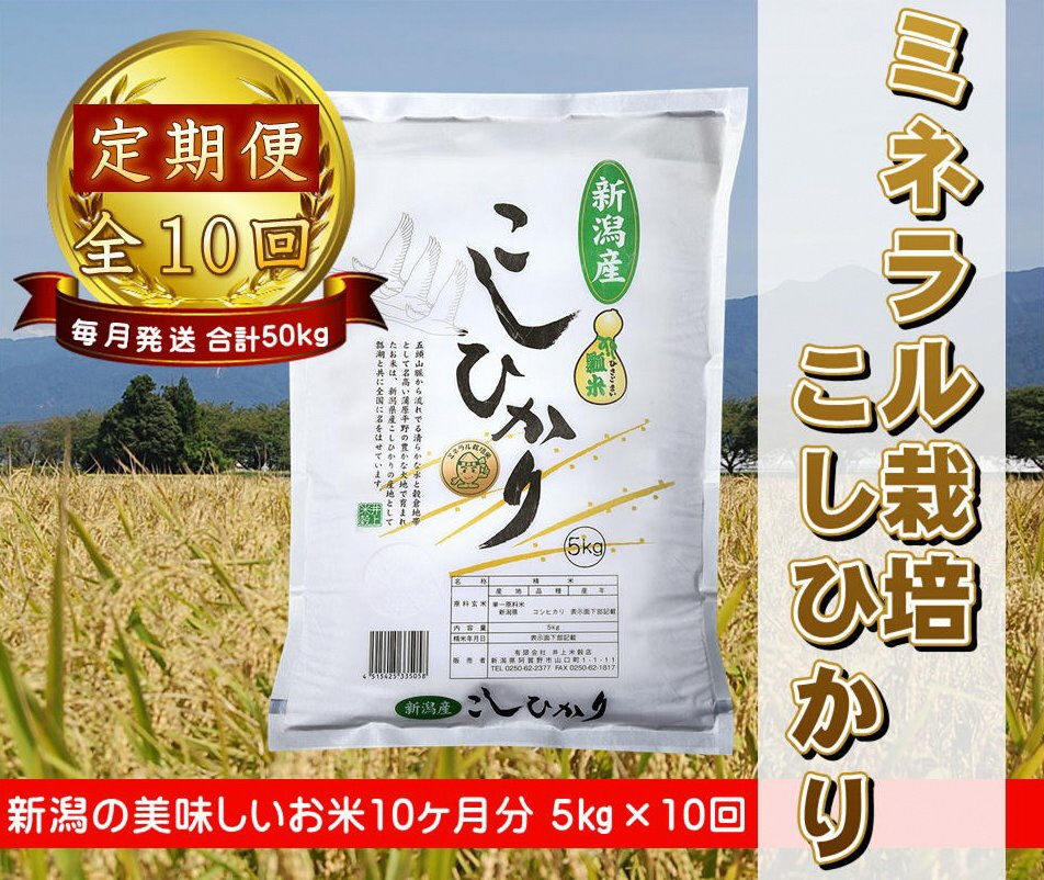 【新米】【10ヶ月定期便】ミネラル栽培こしひかり 5kg×10回 計50kg 白米 精米 井上米穀店 1I03111