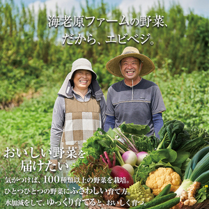 下野市産 エビベジ季節の野菜詰め合わせ（大）  | 栃木県 下野市