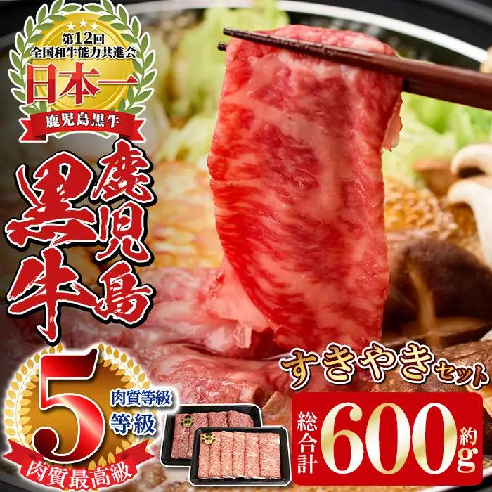 数量限定 鹿児島 黒牛 すきやきセット 計600g 【湧水町JAあいら】 スライス すき焼き用 _y189