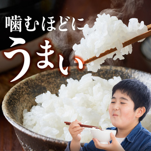 【定期便3回】【令和8年産 新米】福岡県産ブランド米夢つくし 白米 9kg×3回 _  夢つくし 9kg 3回 定期便 福岡県産 久留米産 ブランド米 精米 品種 艷やか 光沢 やわらかい 食感 米 