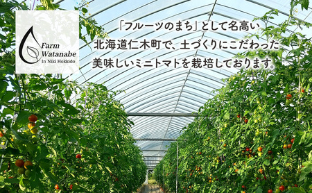 2026年産 ミニトマトジュース 1L×12本 北海道 仁木町