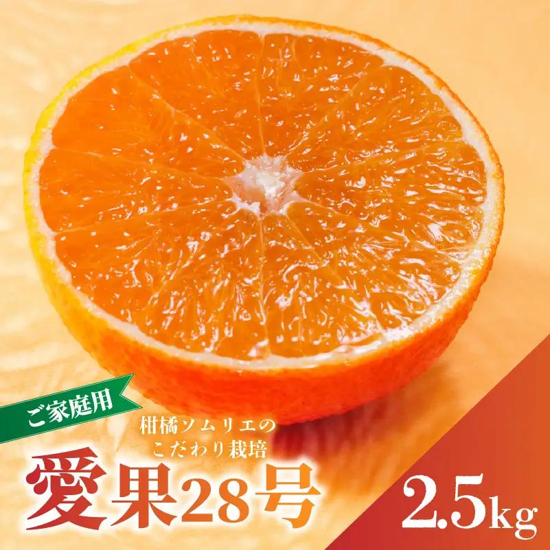 【紅まどんなと同品種】愛果28号 家庭用 2.5kg まどんな 【先行予約 2026年11月下旬より順次発送】 【RNK0022】